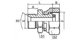 2B-G BSP MALE 60° SEAT / BSP FEMALE PRESSURE GAUGE CONNECTORS 2B-G BSP MALE 60° SEAT / BSP FEMALE PRESSURE GAUGE CONNECTORS