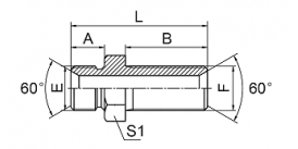 6B BSP MALE 60° SEAT BULKHEAD 6B BSP MALE 60° SEAT BULKHEAD