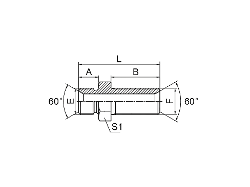 6B BSP MALE 60° SEAT BULKHEAD