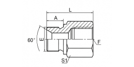 5B-HS BSP MALE 60° SEAT/BSP FEMALE