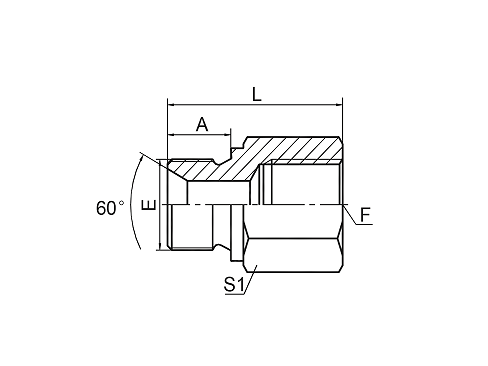 5B-HS BSP MALE 60° SEAT/BSP FEMALE 5B-HS BSP MALE 60° SEAT/BSP FEMALE