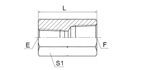 7T BSPT FEMALE 7T BSPT FEMALE