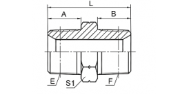 1T-SP BSPT MALE 1T-SP BSPT MALE