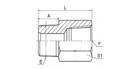 5T-SP BSPT MALE / BSPT FEMALE 5T-SP BSPT MALE / BSPT FEMALE