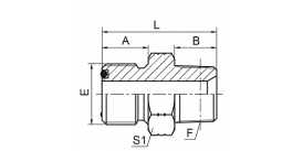 1FN ORFS MALE O-RING / NPT MALE 1FN ORFS MALE O-RING / NPT MALE