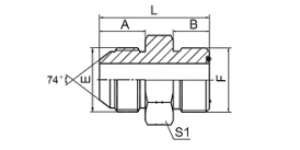 1JF JIC MALE 74° CONE / ORFS MALE 1JF JIC MALE 74° CONE / ORFS MALE