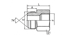 5JB JIC MALE 74° CONE/BSP FEMALE 5JB JIC MALE 74° CONE/BSP FEMALE