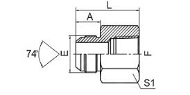 5JT JIC MALE 74° CONE/BSPT FEMALE 5JT JIC MALE 74° CONE/BSPT FEMALE