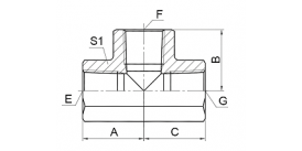 GT-PK BSPT FEMALE TEE GT-PK BSPT FEMALE TEE