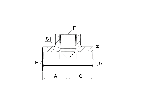 GT-PK BSPT FEMALE TEE GT-PK BSPT FEMALE TEE