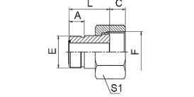 5F-S ORFS MALE / ORFS FEMALE 5F-S ORFS MALE / ORFS FEMALE