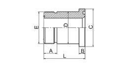 1FFL ORFS MALE O-RING / L-SERIES FLANGE ISO 6162-1 1FFL ORFS MALE O-RING / L-SERIES FLANGE ISO 6162-1