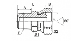 2NU NPT MALE / NPSM FEMALE 60° CONE  2NU NPT MALE / NPSM FEMALE 60° CONE
