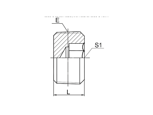 4NN NPT MALE HOLLOW HEX PLUG 4NN NPT MALE HOLLOW HEX PLUG