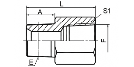 5NT NPT MALE / BSPT FEMALE 5NT NPT MALE / BSPT FEMALE