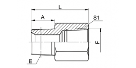 5TN-SP BSPT MALE / NPT FEMALE 5TN-SP BSPT MALE / NPT FEMALE