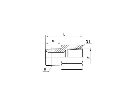5TN-SP BSPT MALE / NPT FEMALE 5TN-SP BSPT MALE / NPT FEMALE