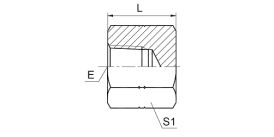 9N-CAP NPT FEMALE PLUG 9N-CAP NPT FEMALE PLUG
