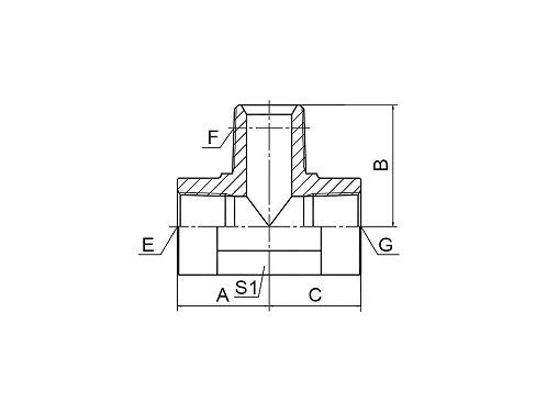 JN NPT FEMALE / NPT MALE BRANCH TEE JN NPT FEMALE / NPT MALE BRANCH TEE
