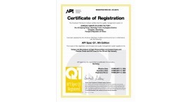 API Q1