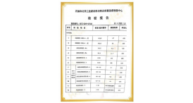 Report 9