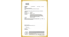 SGS 2