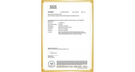 SGS 4