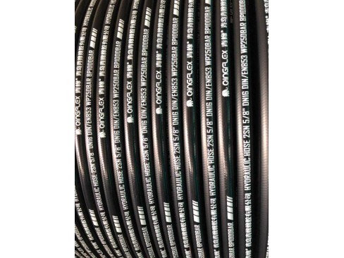 Gasoline Hose